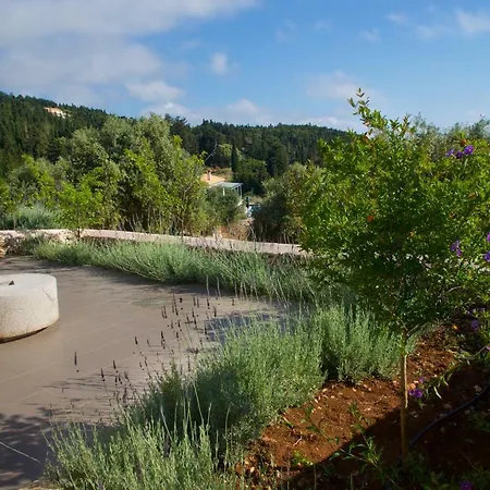 Euphoria Retreat Vila *