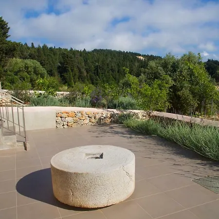 Vila Euphoria Retreat *