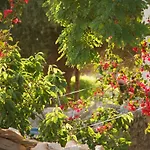 Villa Euphoria Retreat *