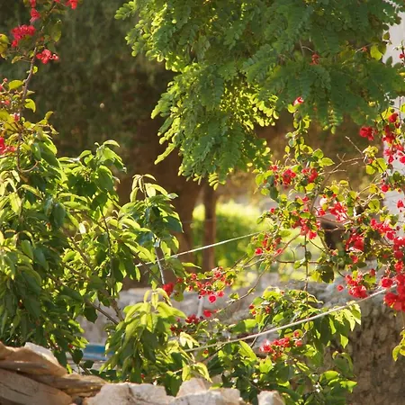 Vilă Euphoria Retreat *